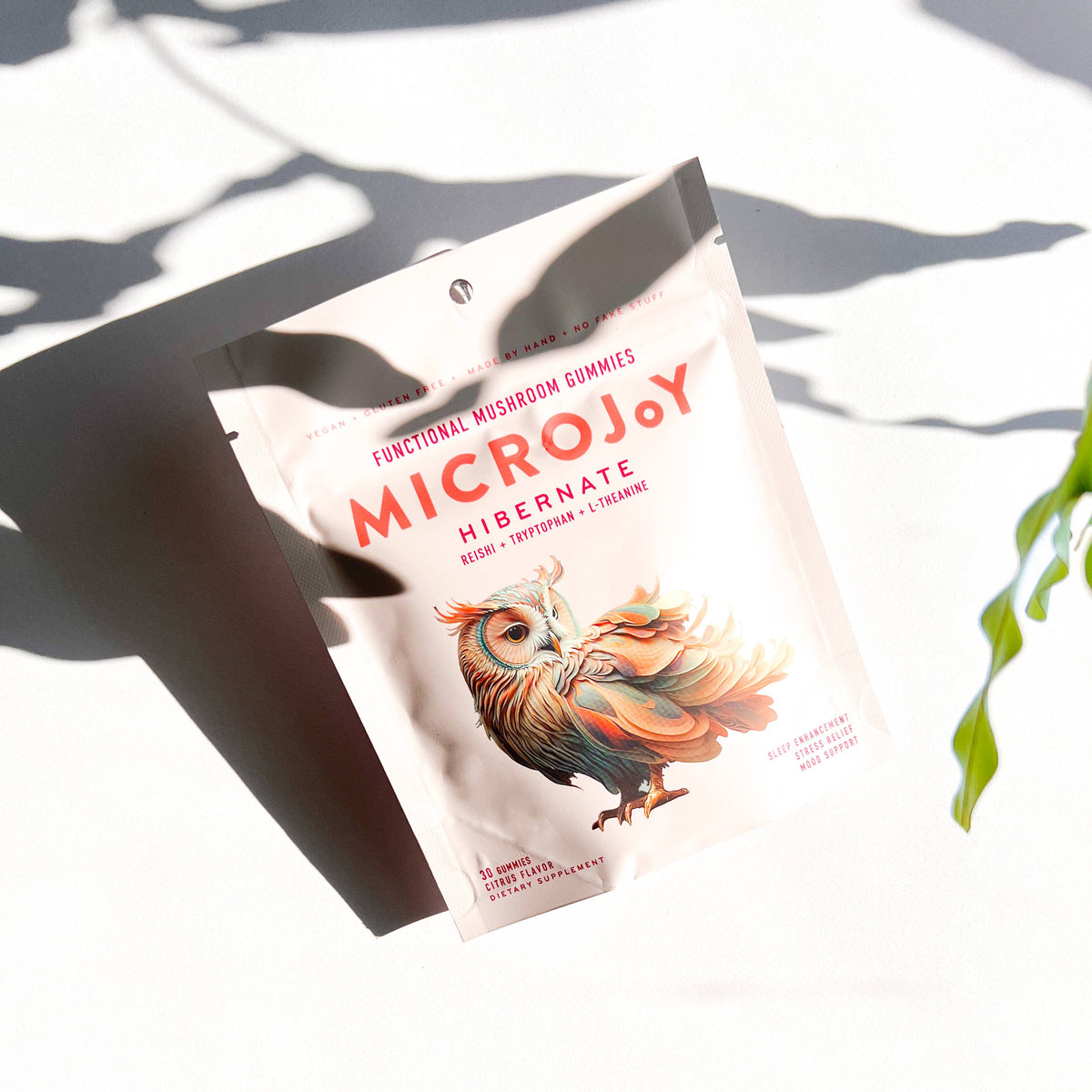 Hibernate Mushroom Gummies (30) / Vegan Supplement / Sleep
