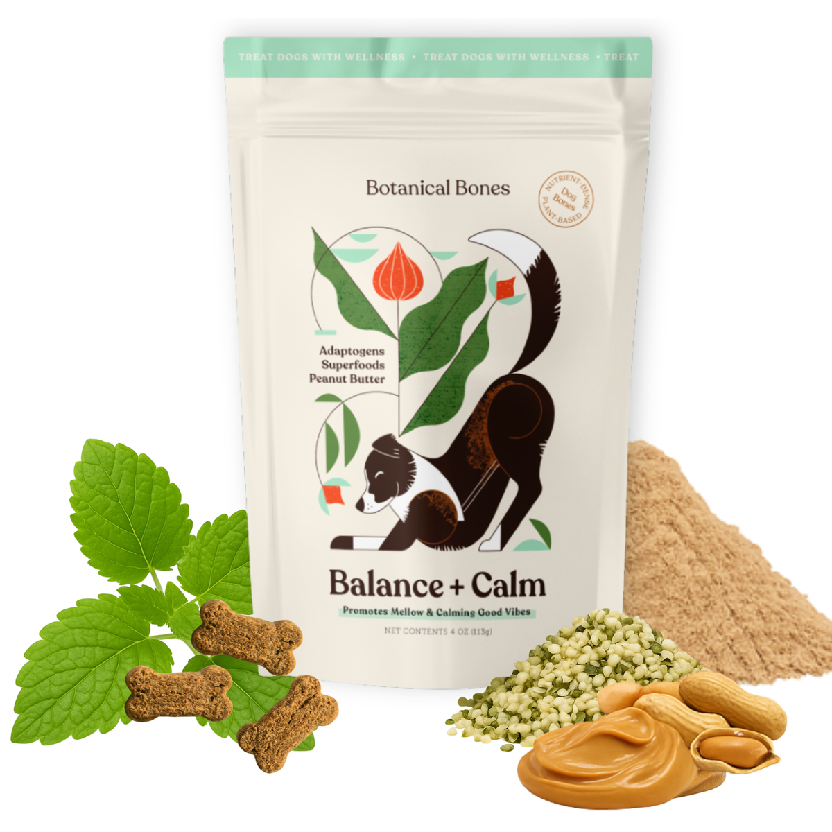 Botanical Bones: Retail Ready Bundle. Functional Dog Treats.