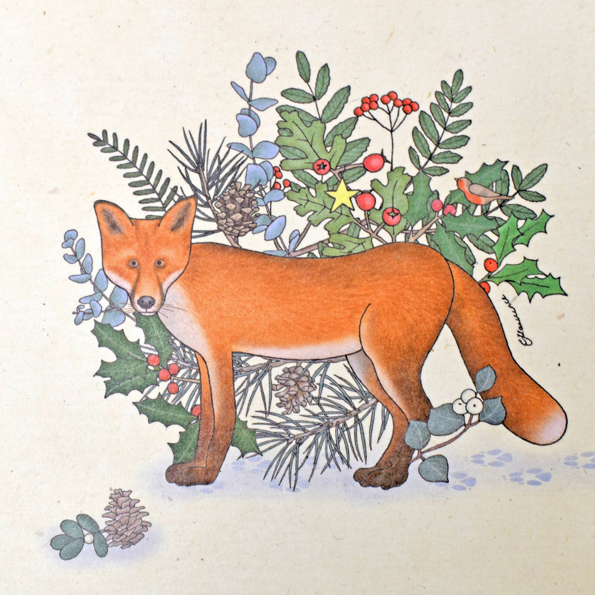 Emma Lawrence Fox Christmas Card - Recycled Paper Fair Trade