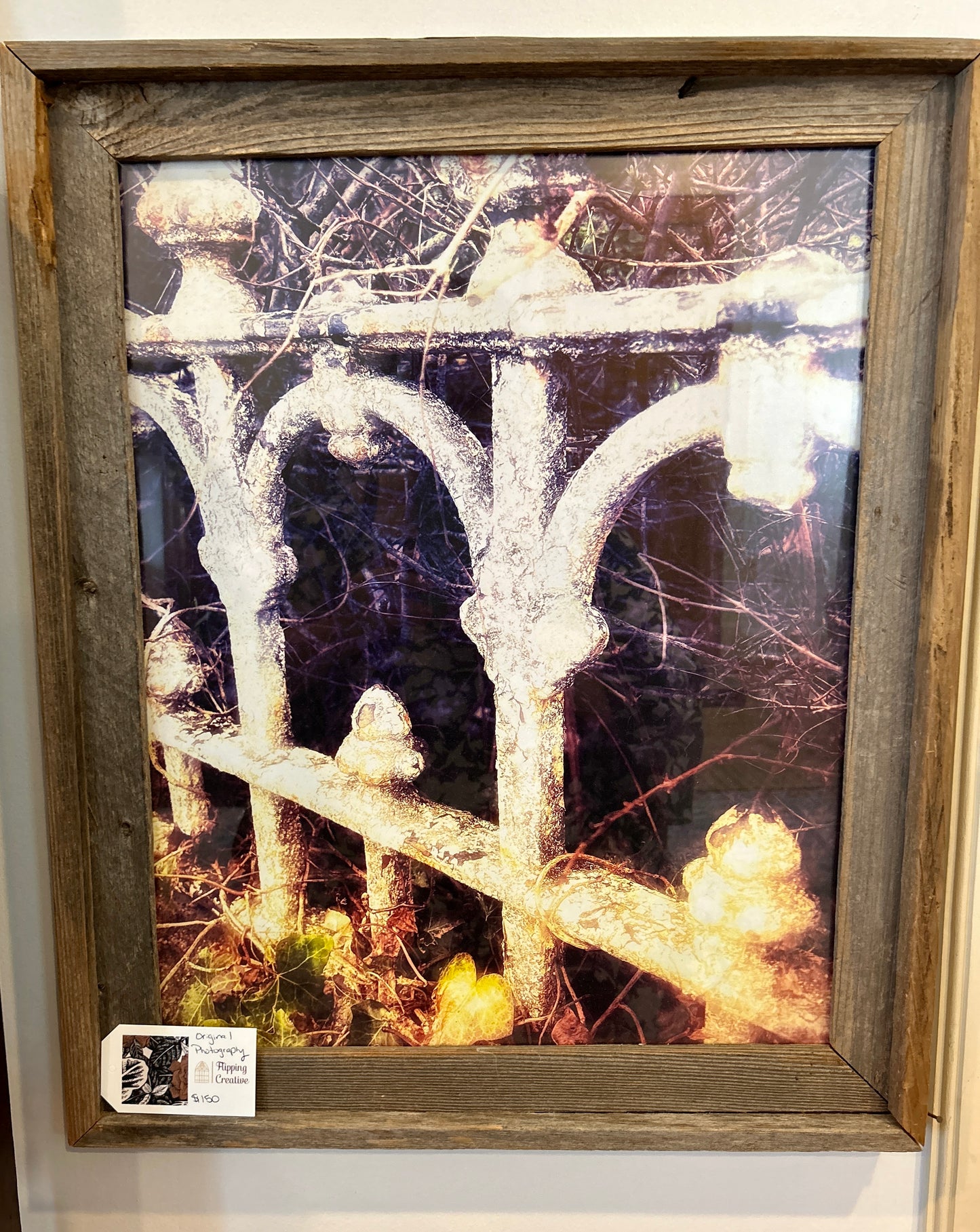 Original photography with rustic wooden frame