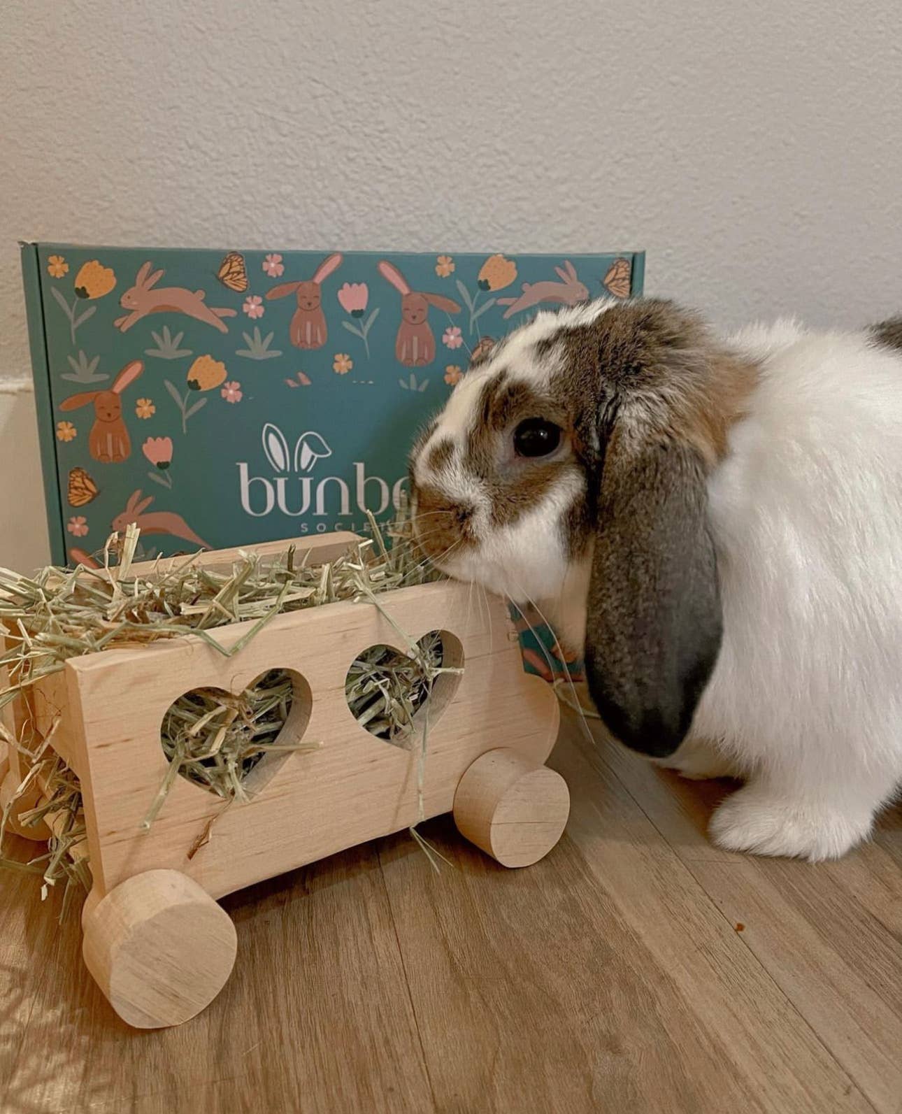 Wooden Cart Rabbit Hay Feeder | Bunny Toy | Pet Hay Feeder