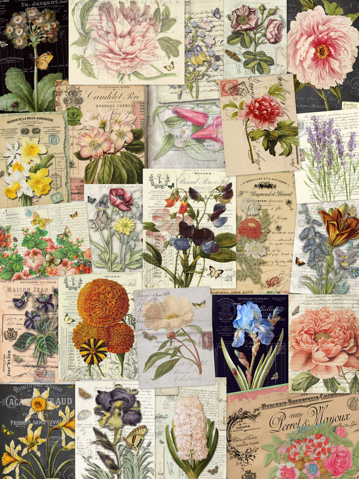 Assorted 11" x 17" 50 Piece Botanicals Papers Collection