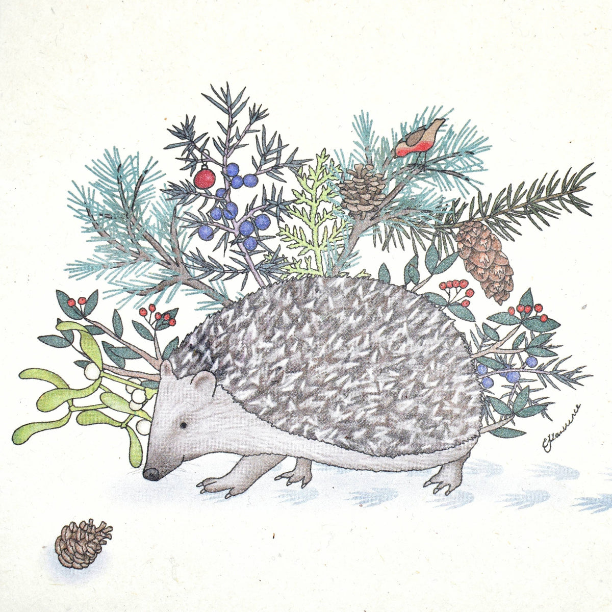 Emma Lawrence Hedgehog Christmas Recycled Paper Gift Bags