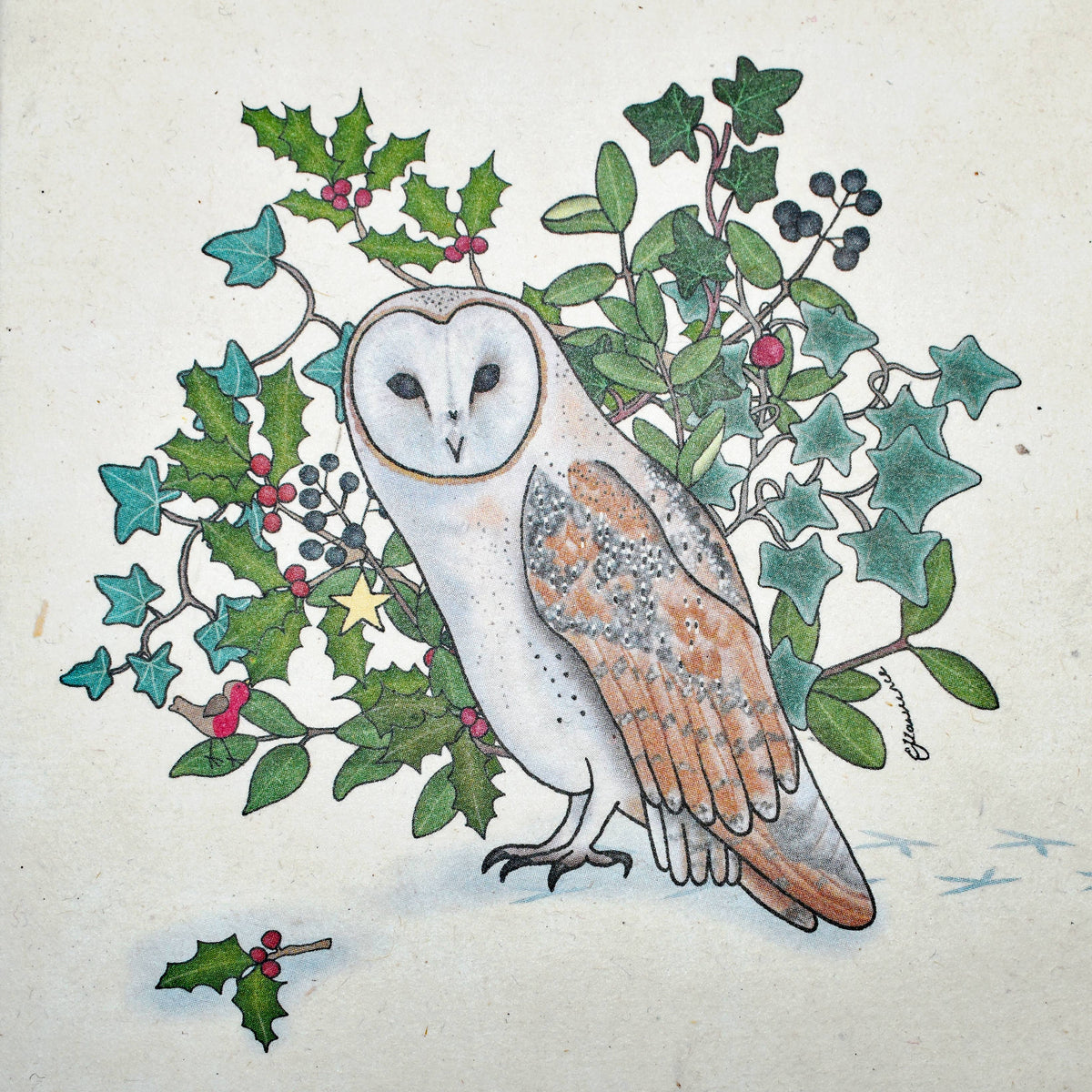 Emma Lawrence Owl Christmas Card - Recycled Paper Fair Trade