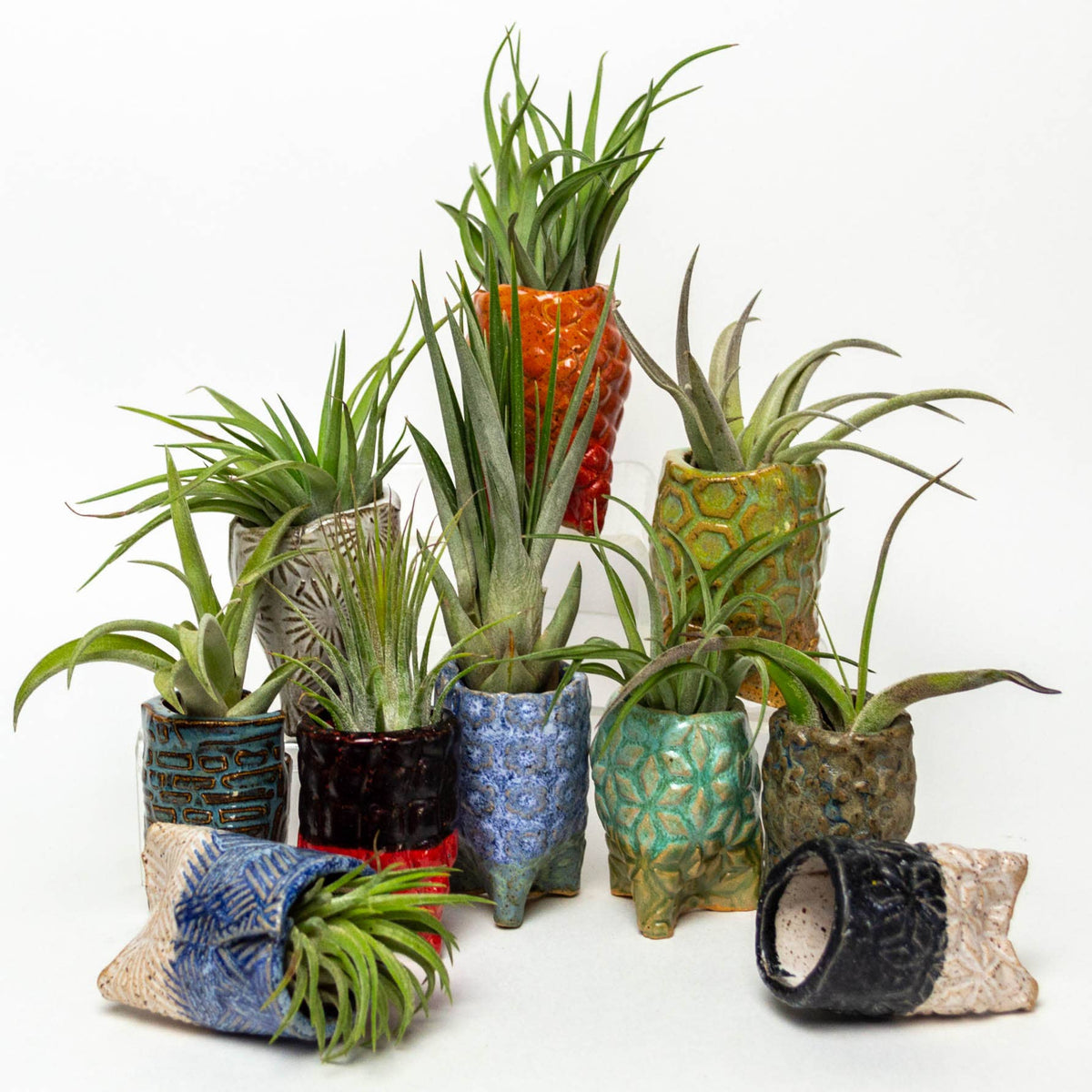 Sm Air Plants Handmade Pot