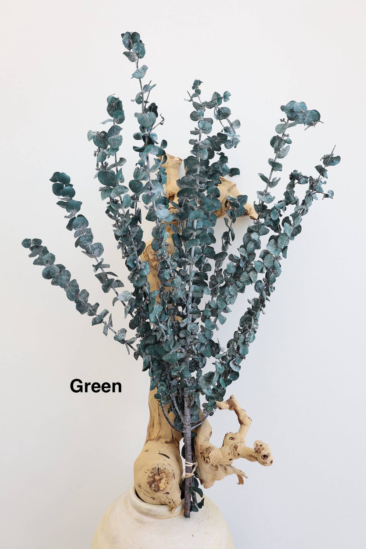 Preserved Eucalyptus