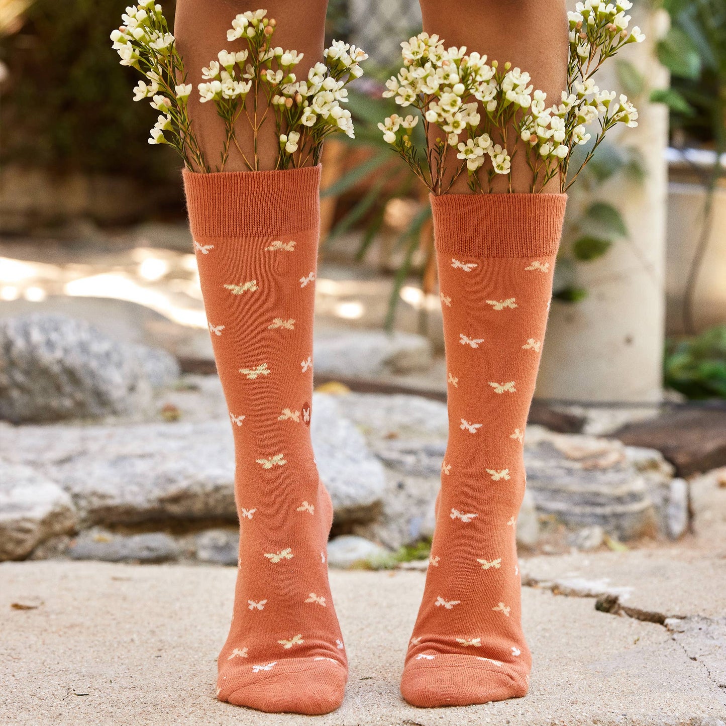 Boxed Set Socks that Stop Violence Against Women