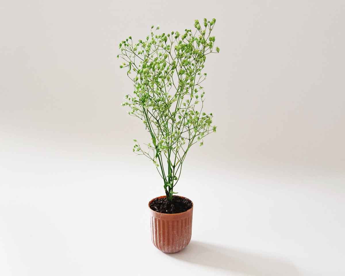 Miniature Potted Plant - Terra Cotta or Stone