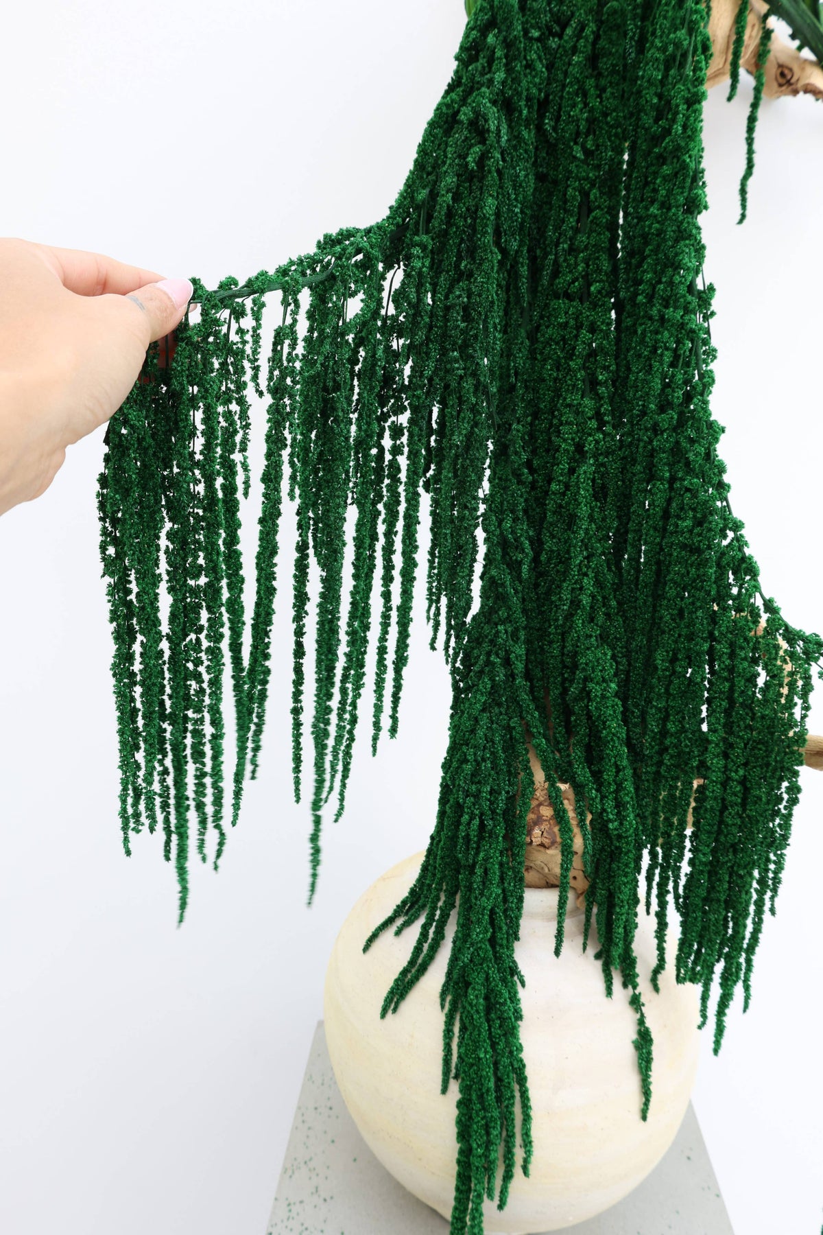 Forest Green Preserved Amaranthus
