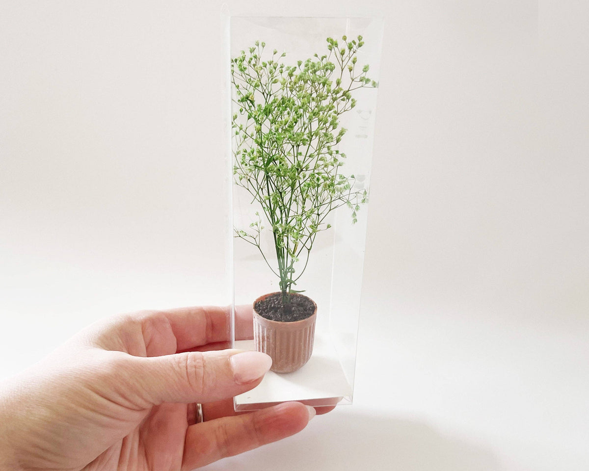 Miniature Potted Plant - Terra Cotta or Stone