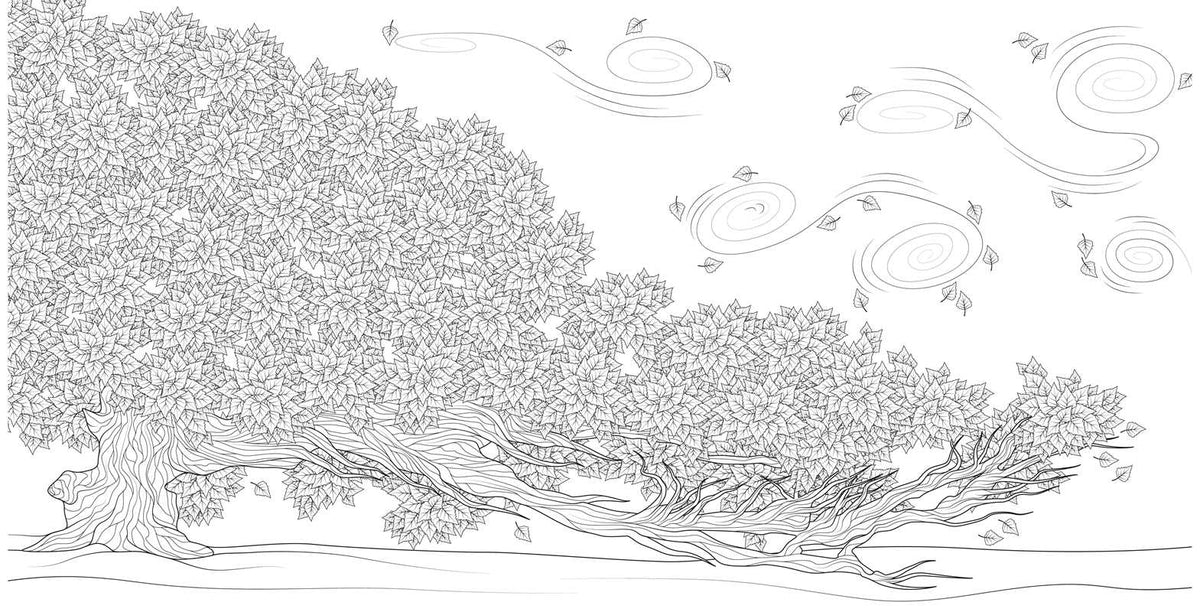 Splendor of Trees Coloring Book by