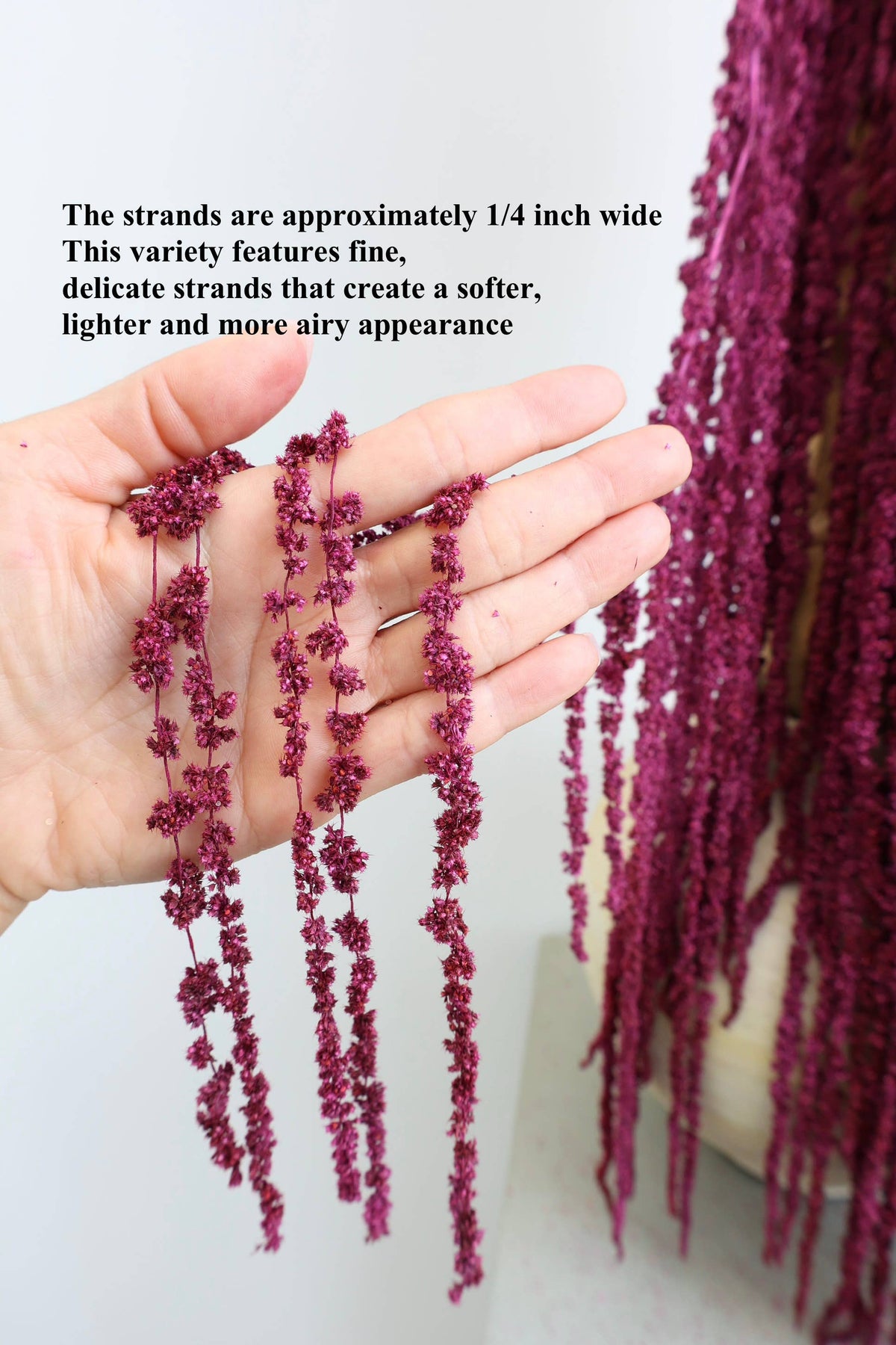 Preserved Amaranthus