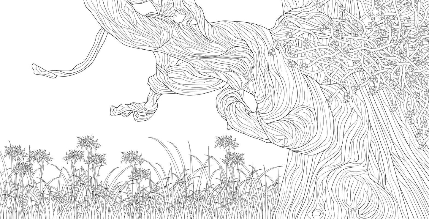 Splendor of Trees Coloring Book by
