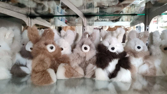 Alpaca Bunnies