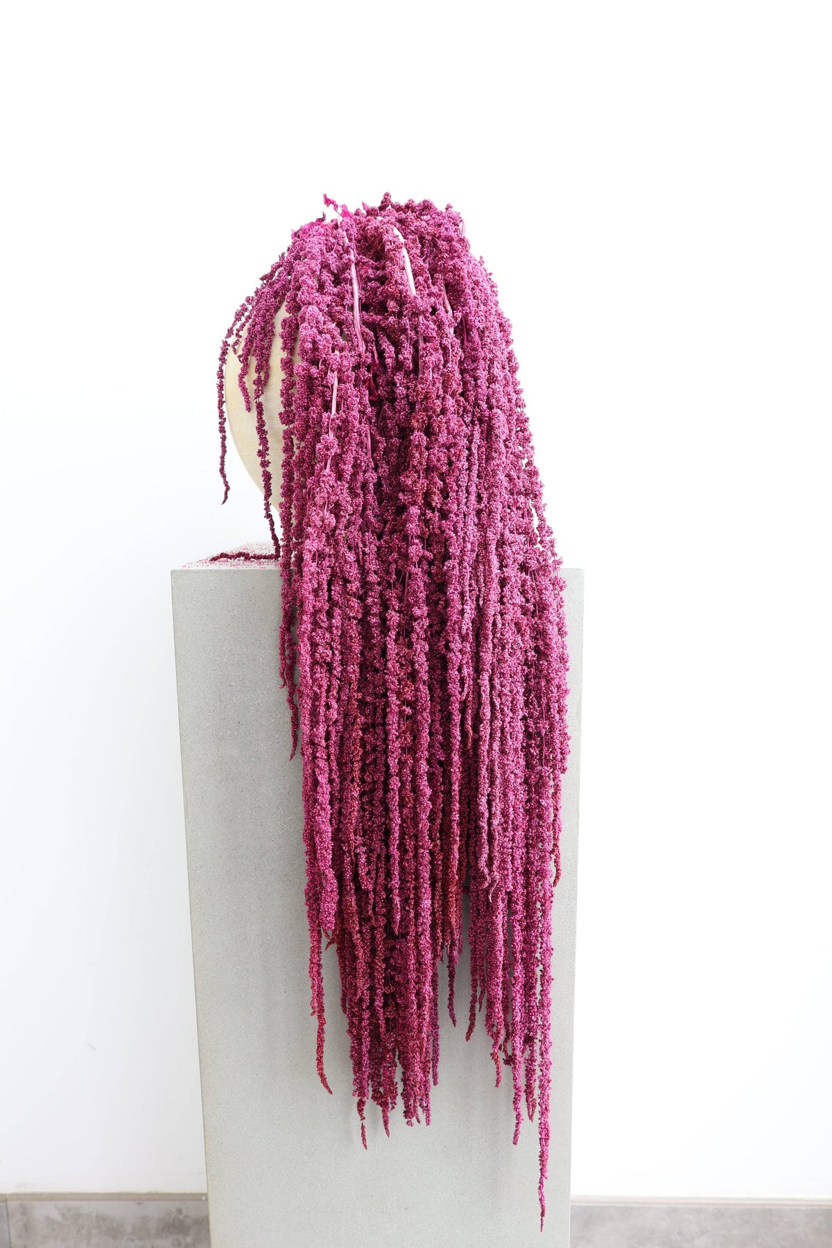 Preserved Amaranthus