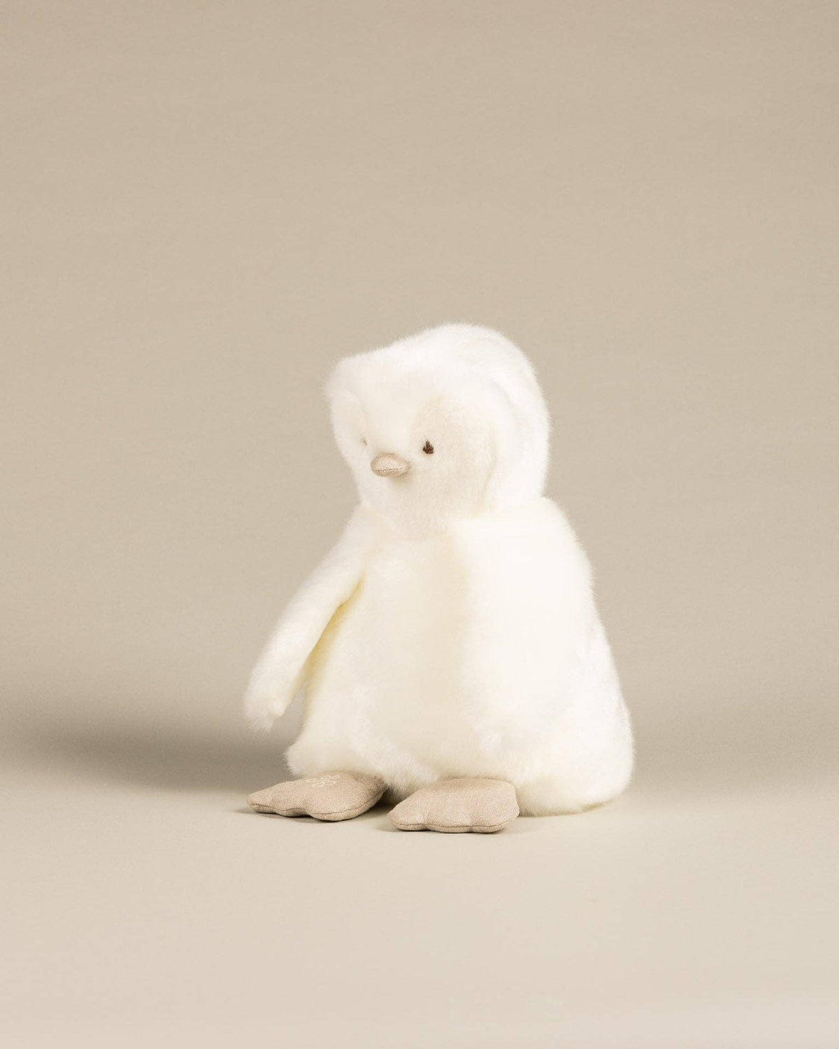THE PENGUIN PAMPLEMOUSSE X TARTINE ET CHOCOLAT