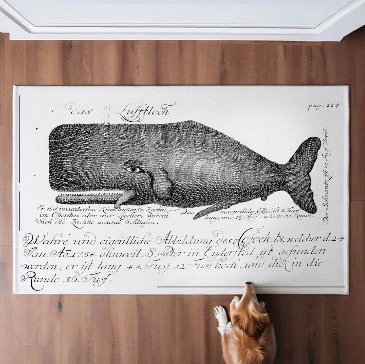 "The Whale" Canvas wall hanging