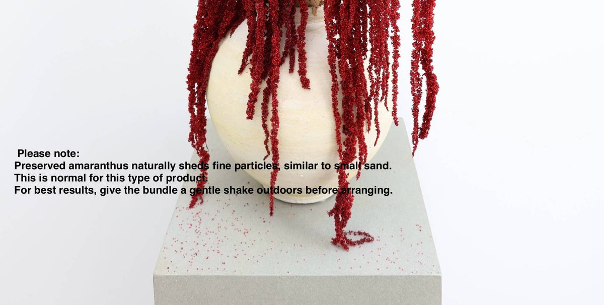 Red Amaranthus Hanging Preserved