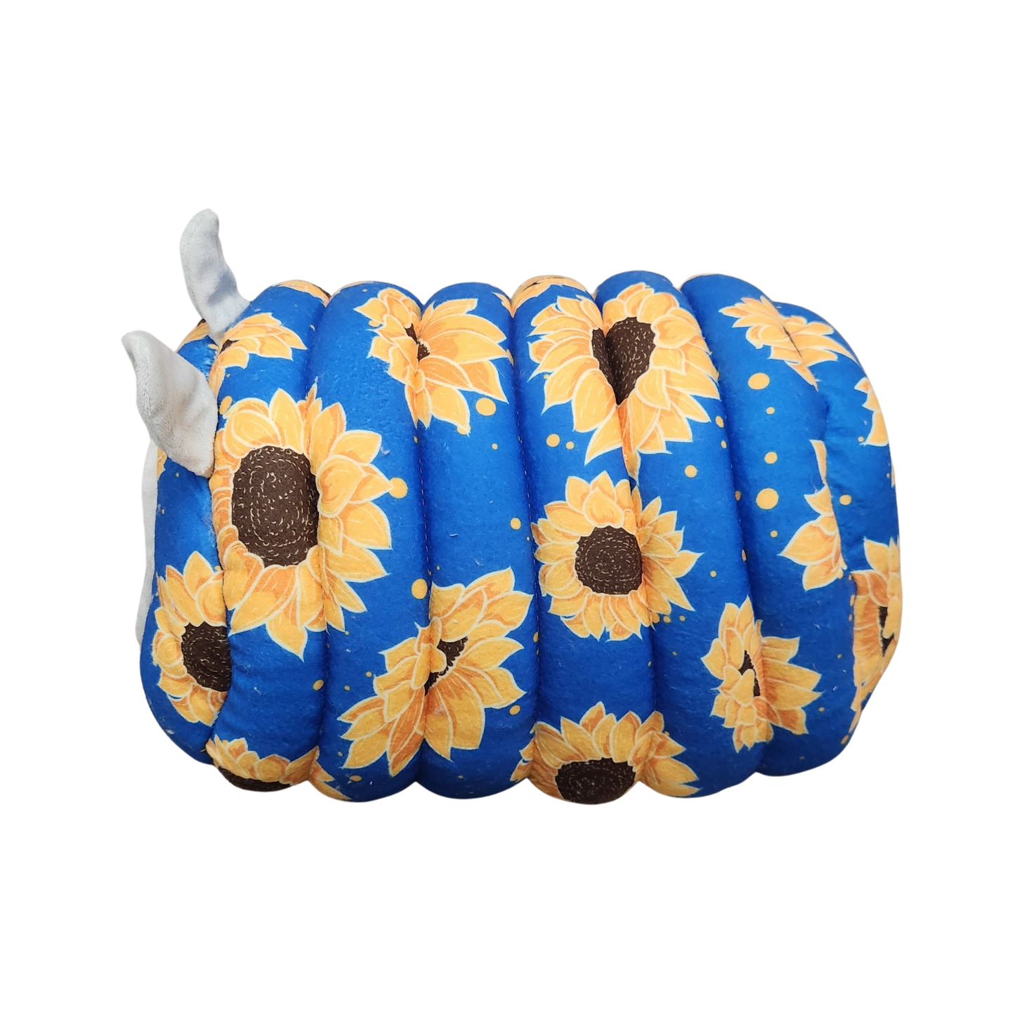 Pod Hideout for Guinea Pigs