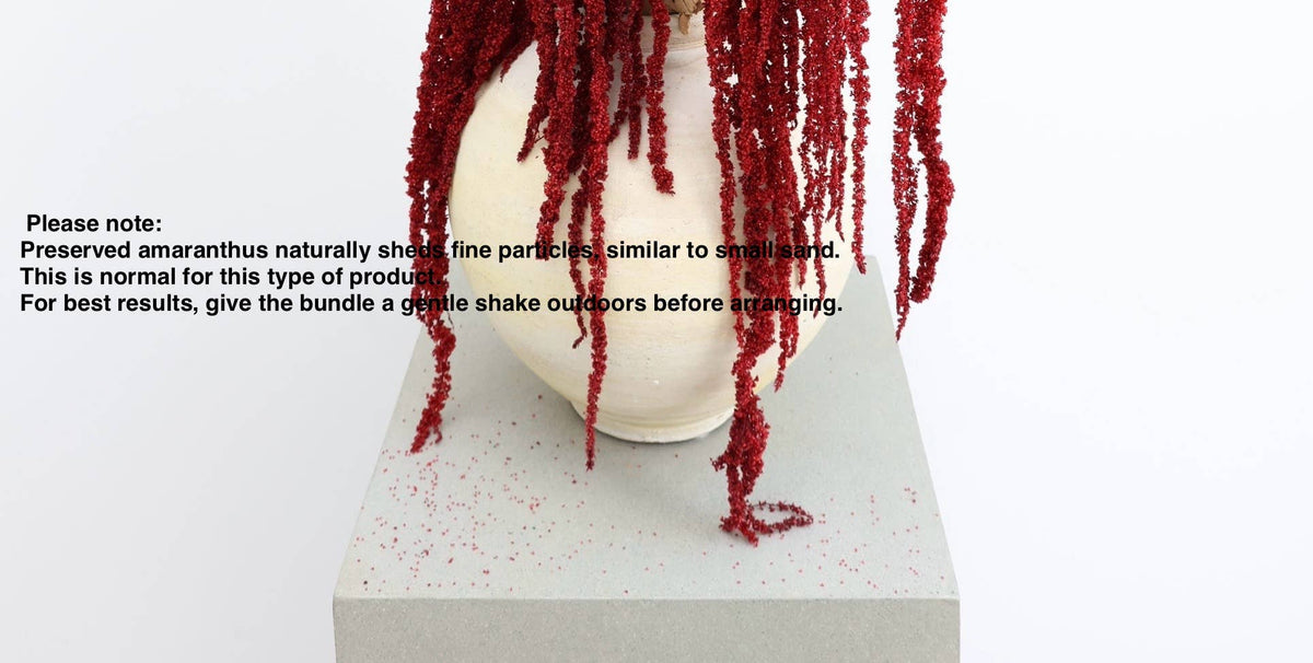 Forest Green Preserved Amaranthus
