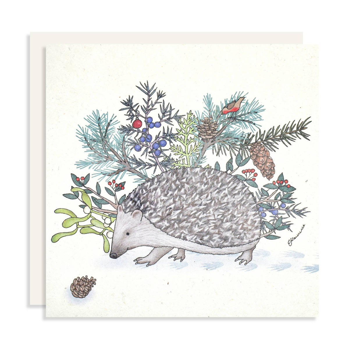 Emma Lawrence Hedgehog Christmas Card - Recycled Paper