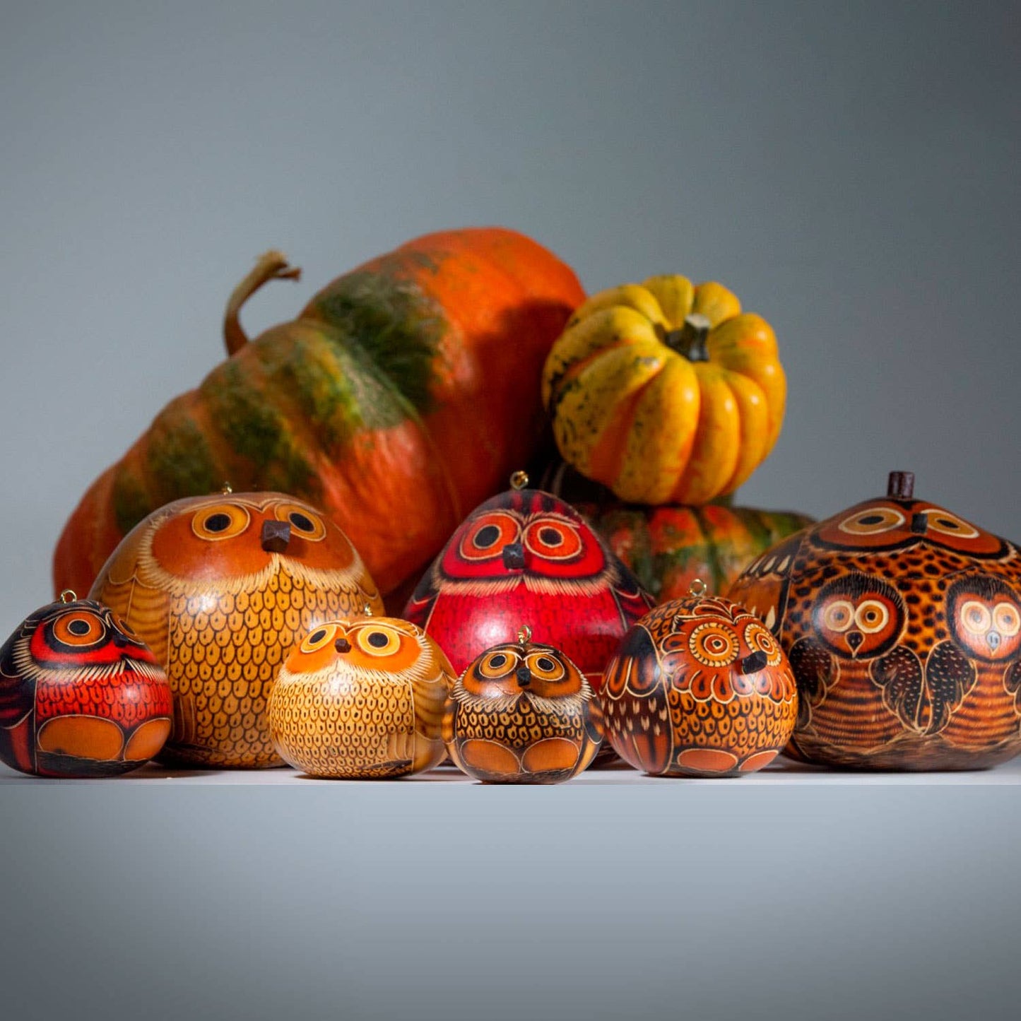 Mini Owl Gourd