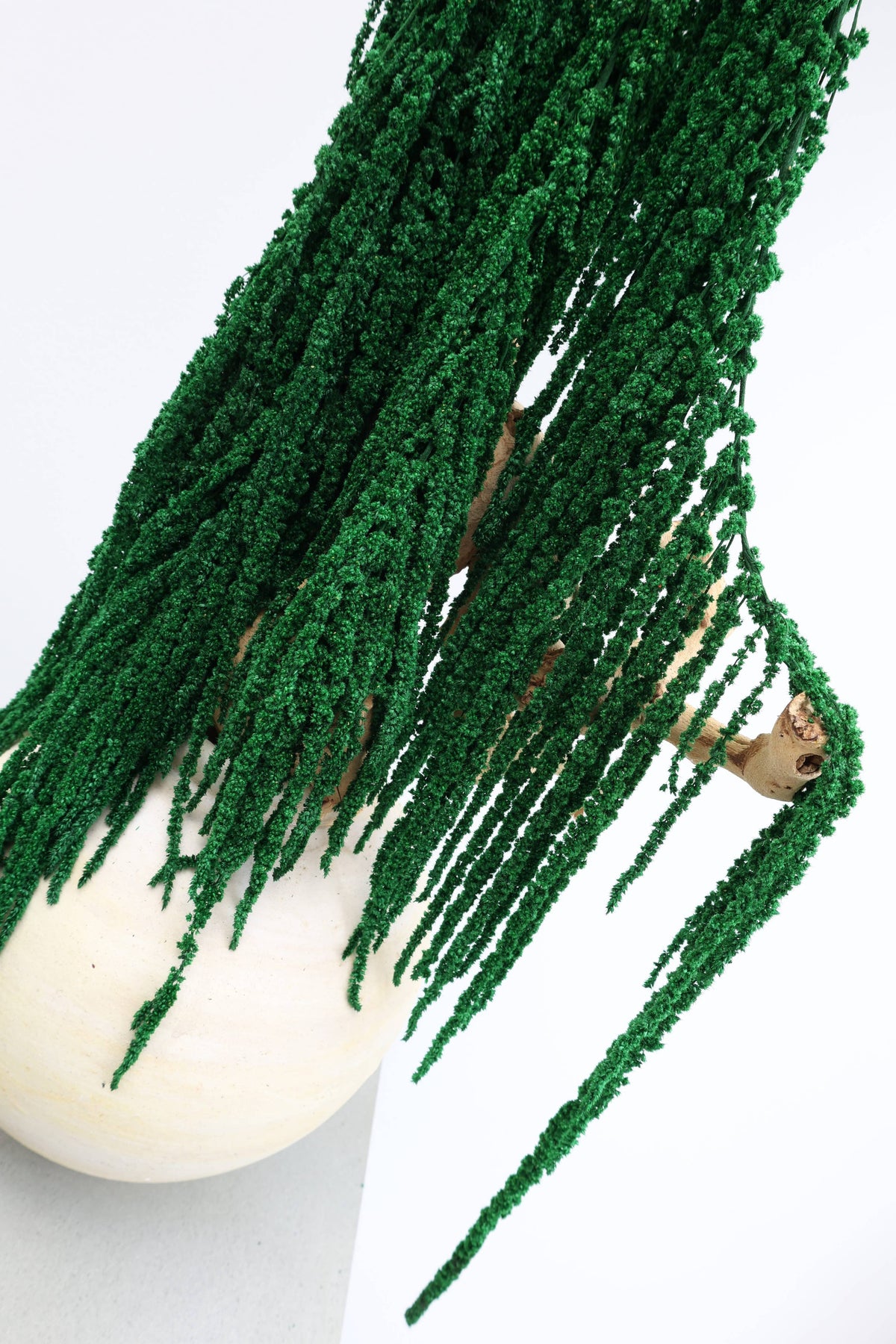 Forest Green Preserved Amaranthus