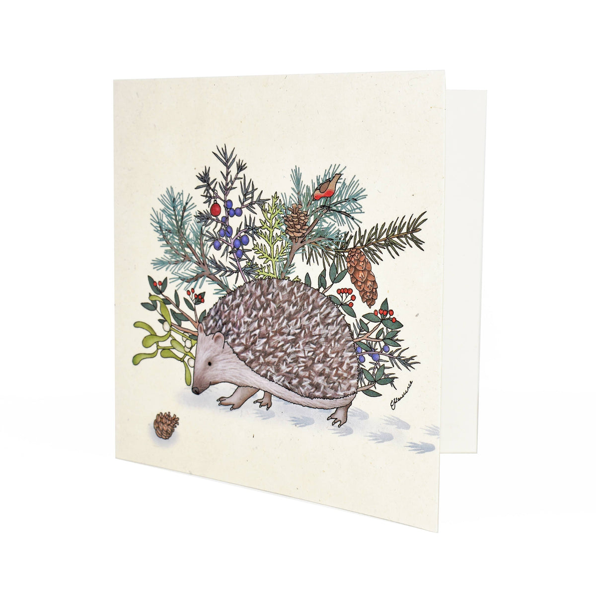 Emma Lawrence Hedgehog Christmas Card - Recycled Paper