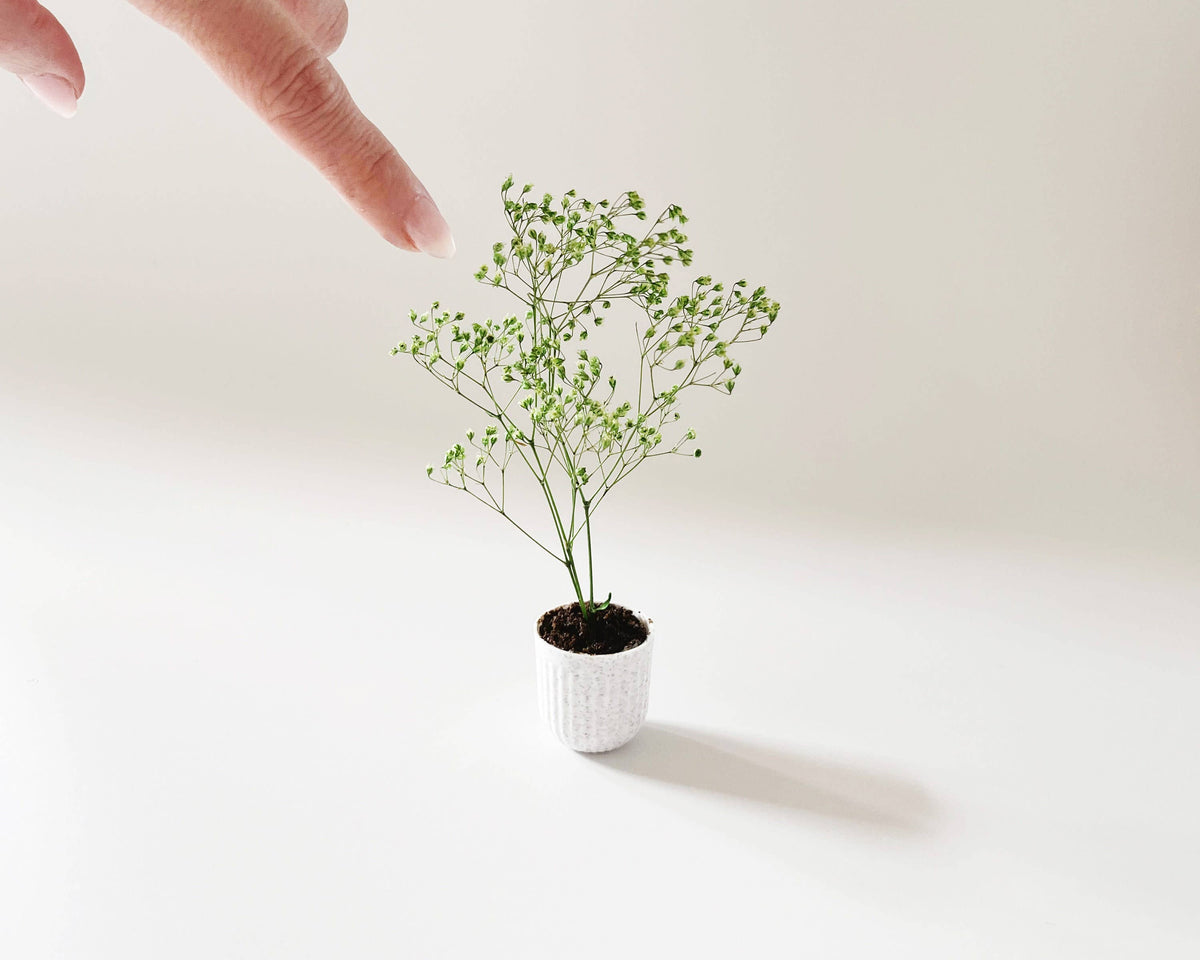 Miniature Potted Plant - Terra Cotta or Stone