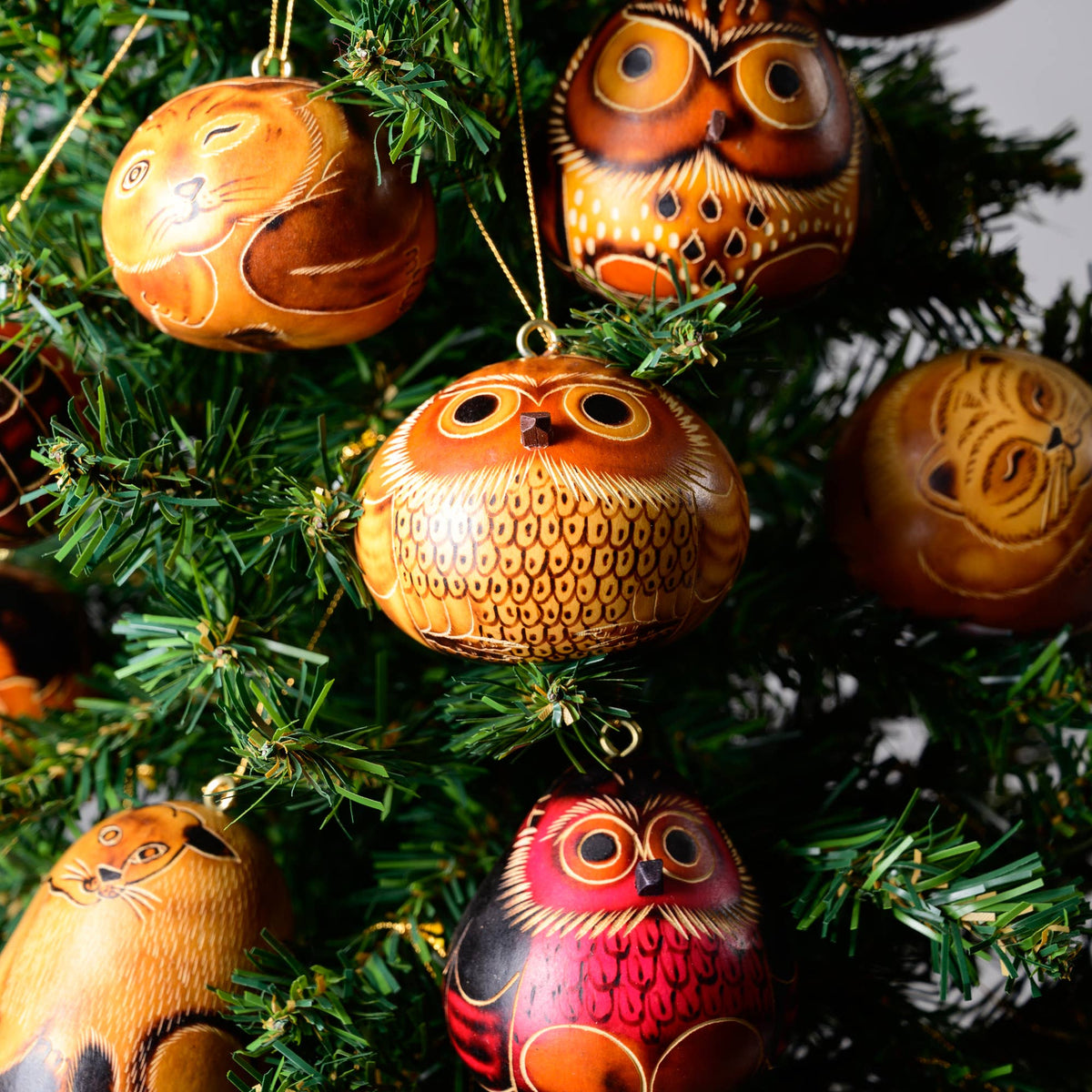 Mini Owl Gourd