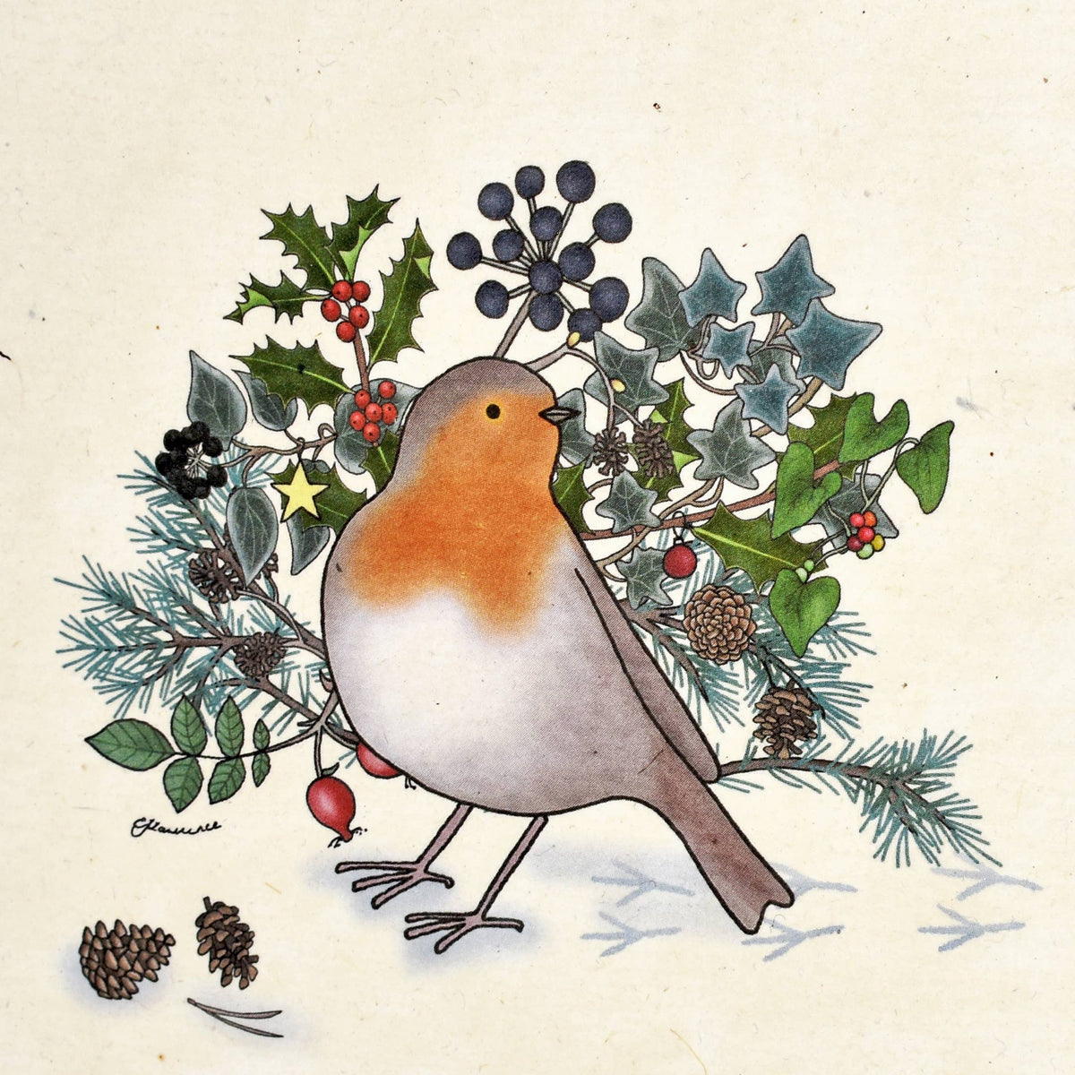 Emma Lawrence Christmas Robin Recycled Paper Gift Bags