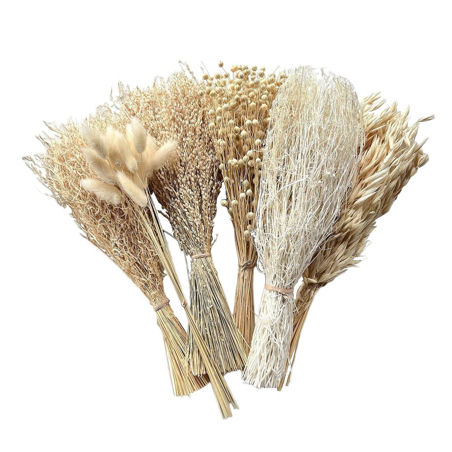 Dried flowers Bleached, 12"