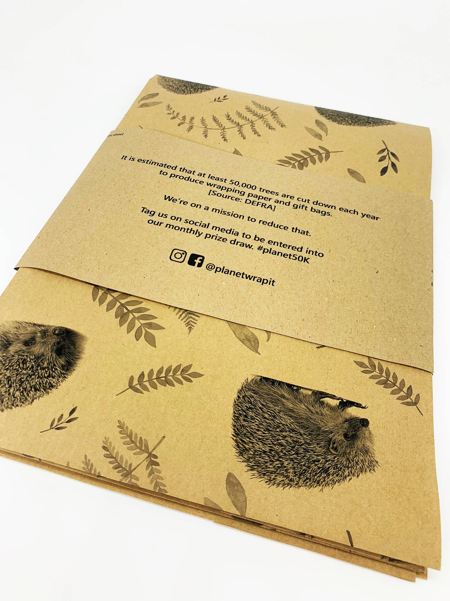 Hedgehogs Recycled Eco Kraft Wrapping Paper