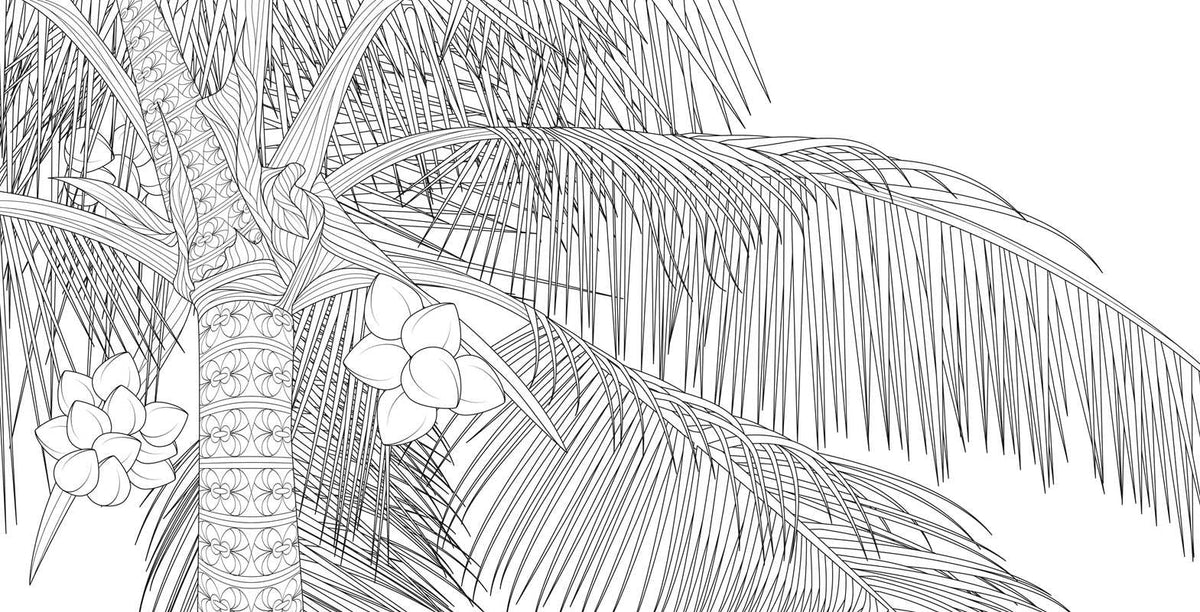Splendor of Trees Coloring Book by