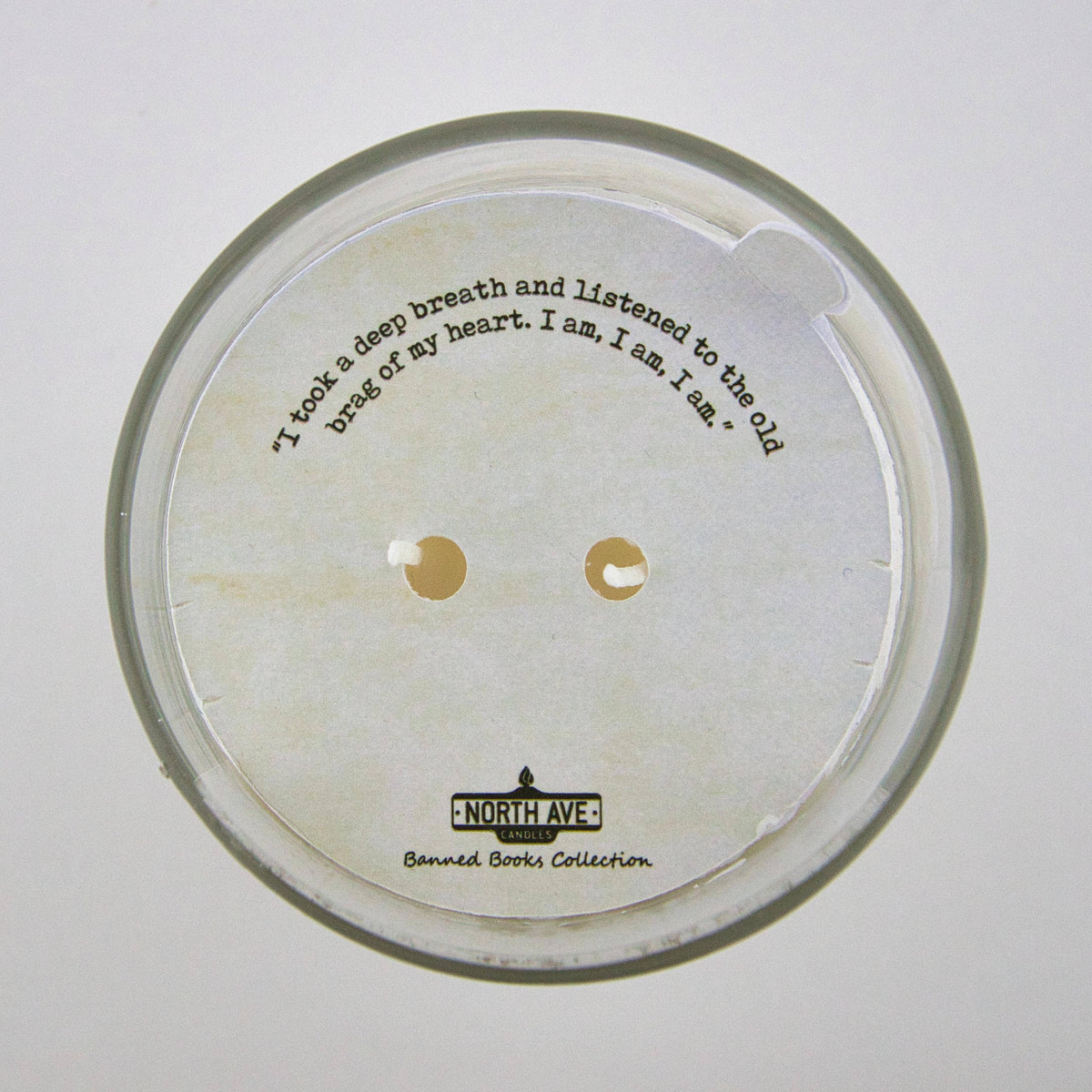 Banned Book Candle / The Bell Jar / Feminist Gift / bookish