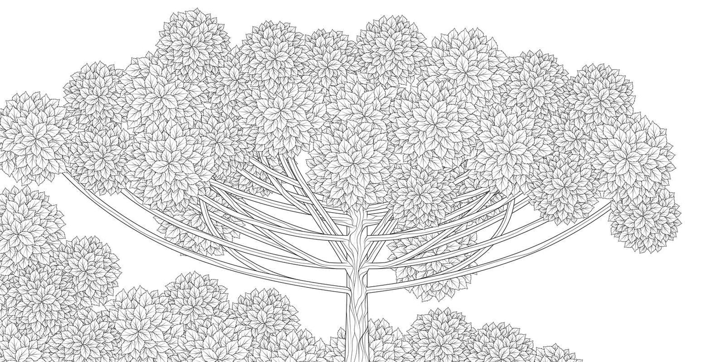 Splendor of Trees Coloring Book by