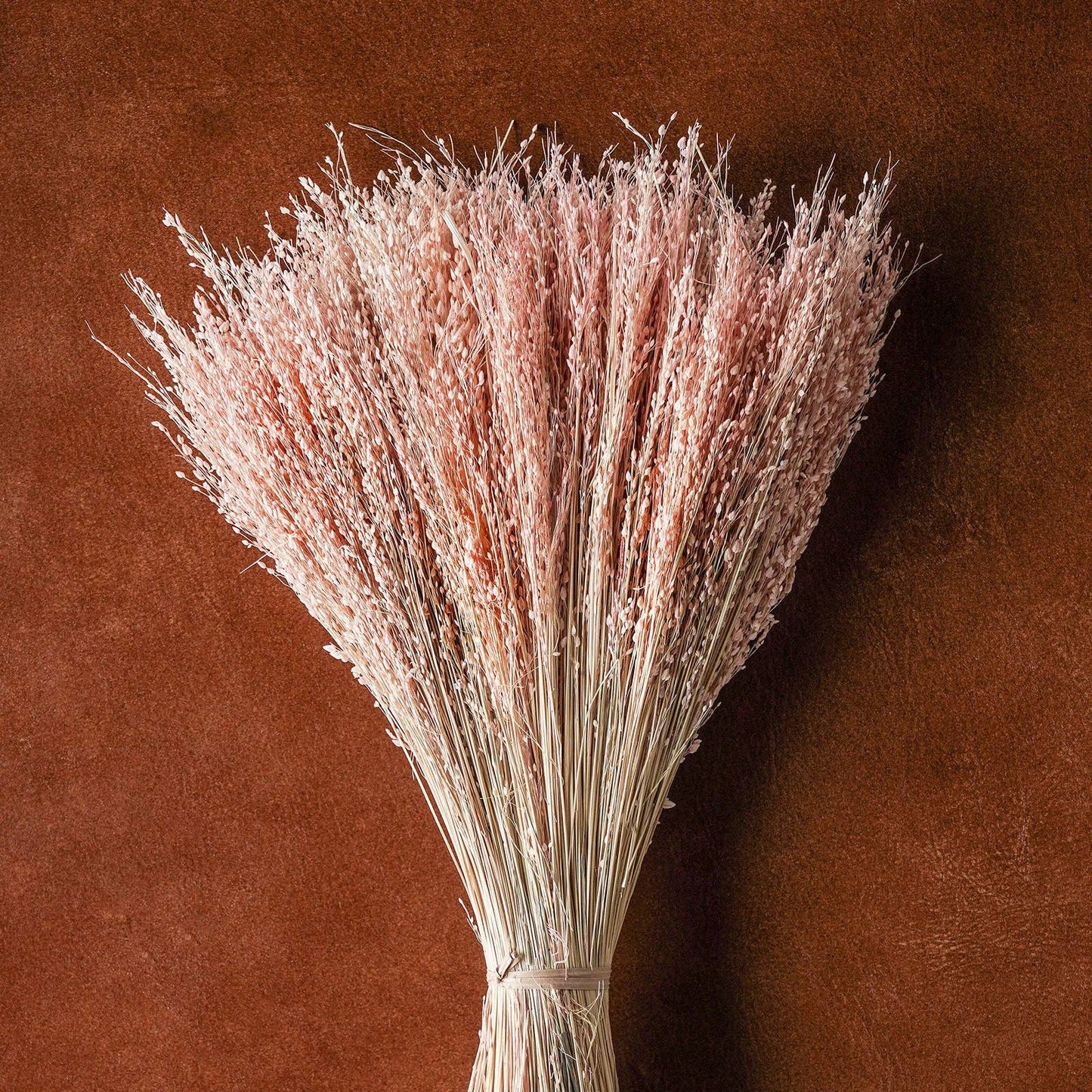 Dried flowers Blush,  20"