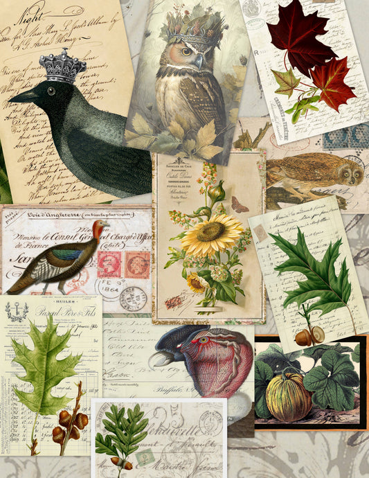 Assorted 11" x 17"  25 Piece Fall Papers Collection
