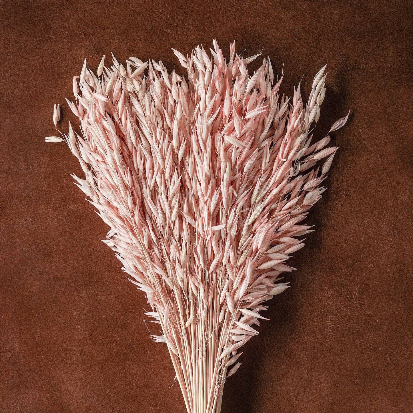 Dried flowers Blush,  20"