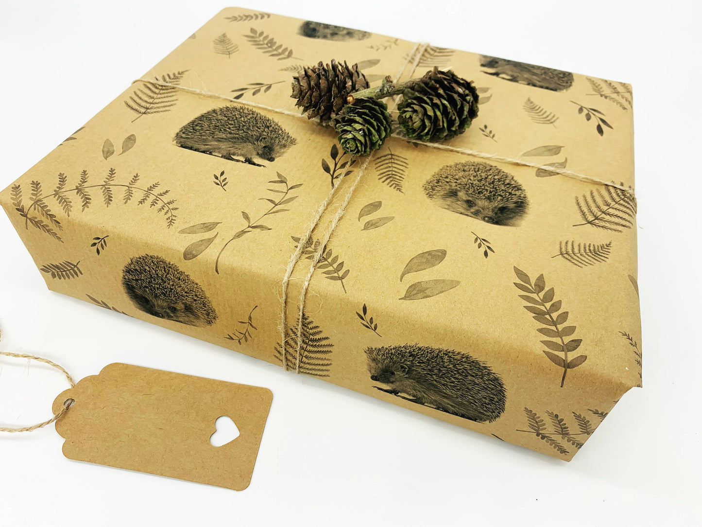 Hedgehogs Recycled Eco Kraft Wrapping Paper