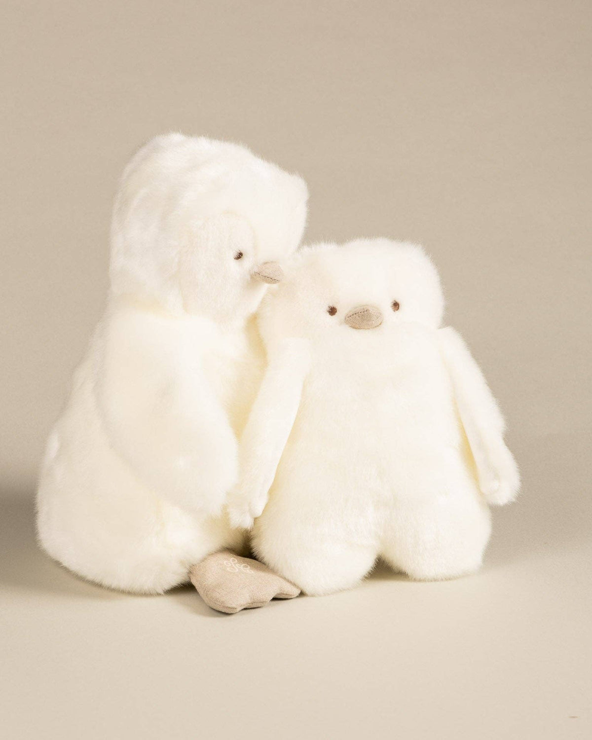THE PENGUIN PAMPLEMOUSSE X TARTINE ET CHOCOLAT