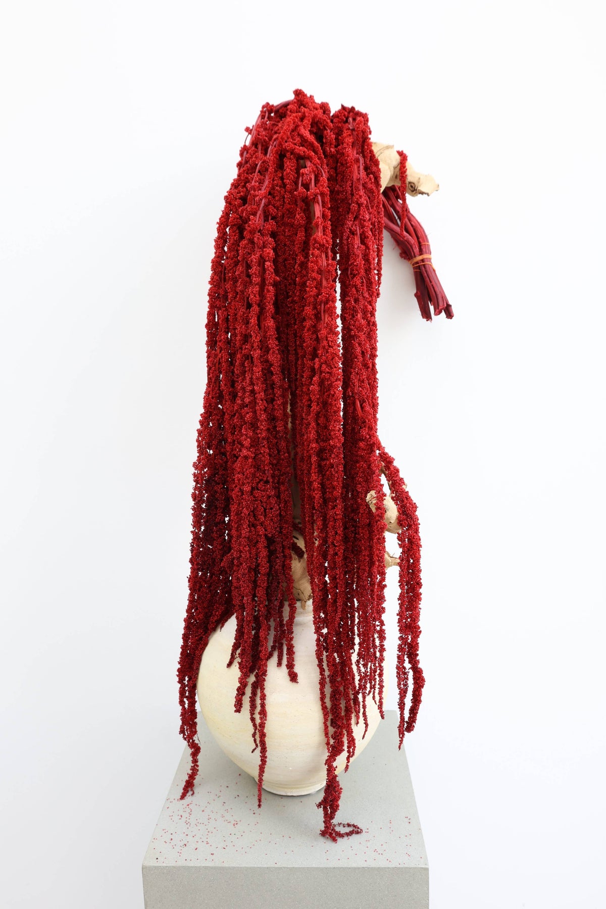 Red Amaranthus Hanging Preserved
