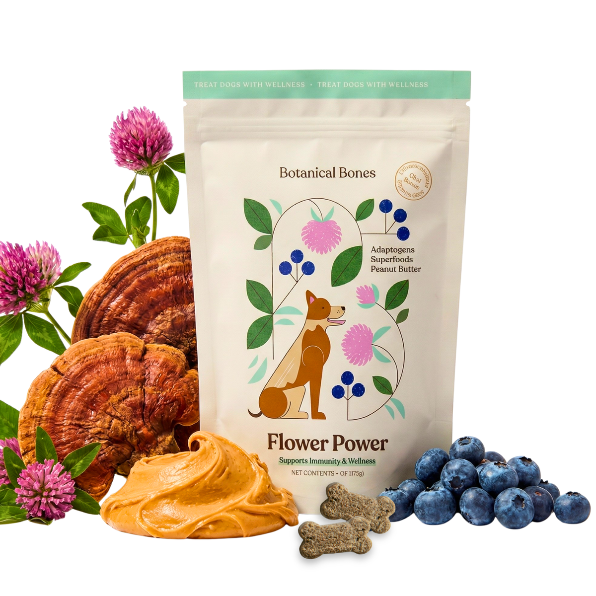 Botanical Bones: Retail Ready Bundle. Functional Dog Treats.