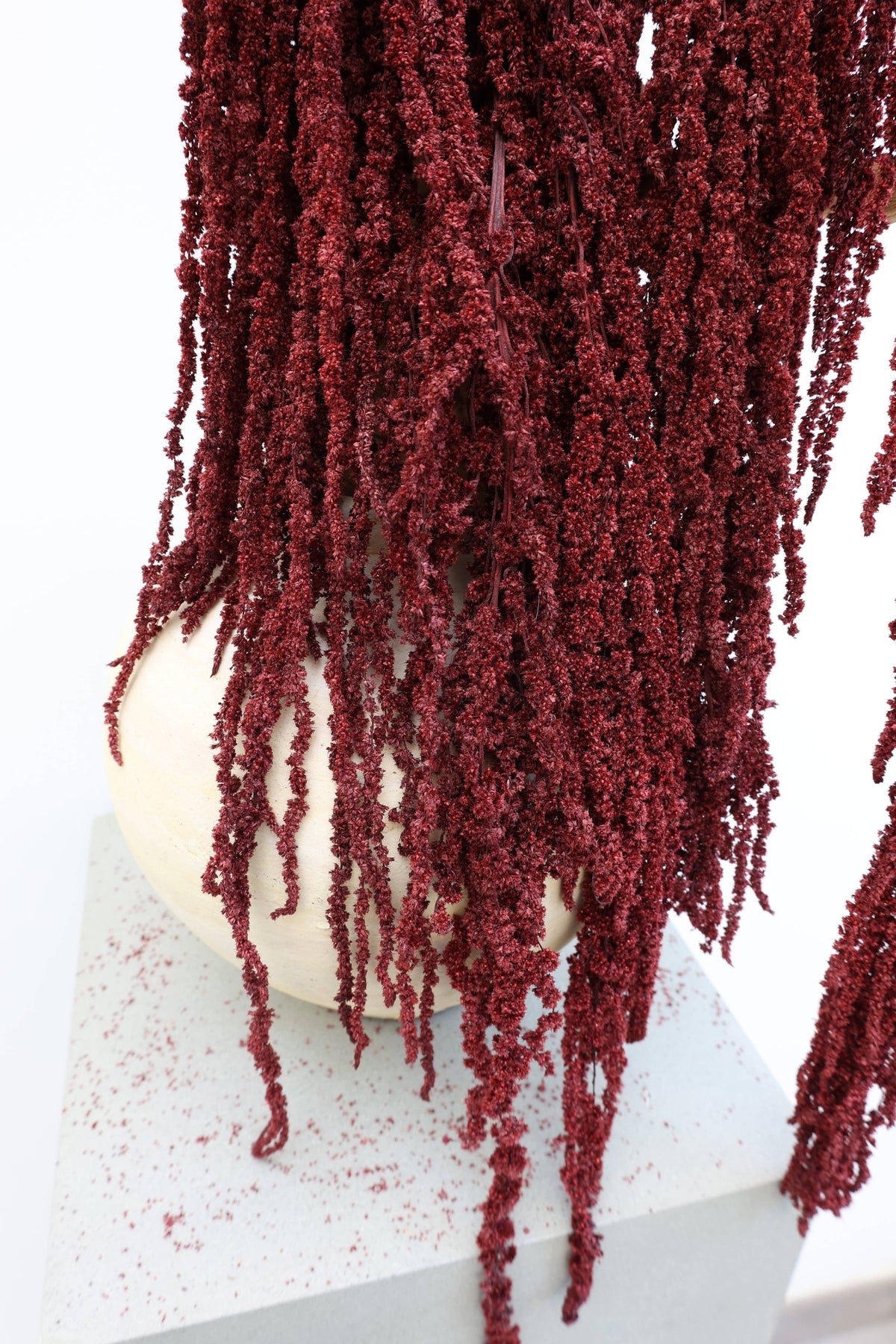Preserved Deep Red Hanging Amaranthus