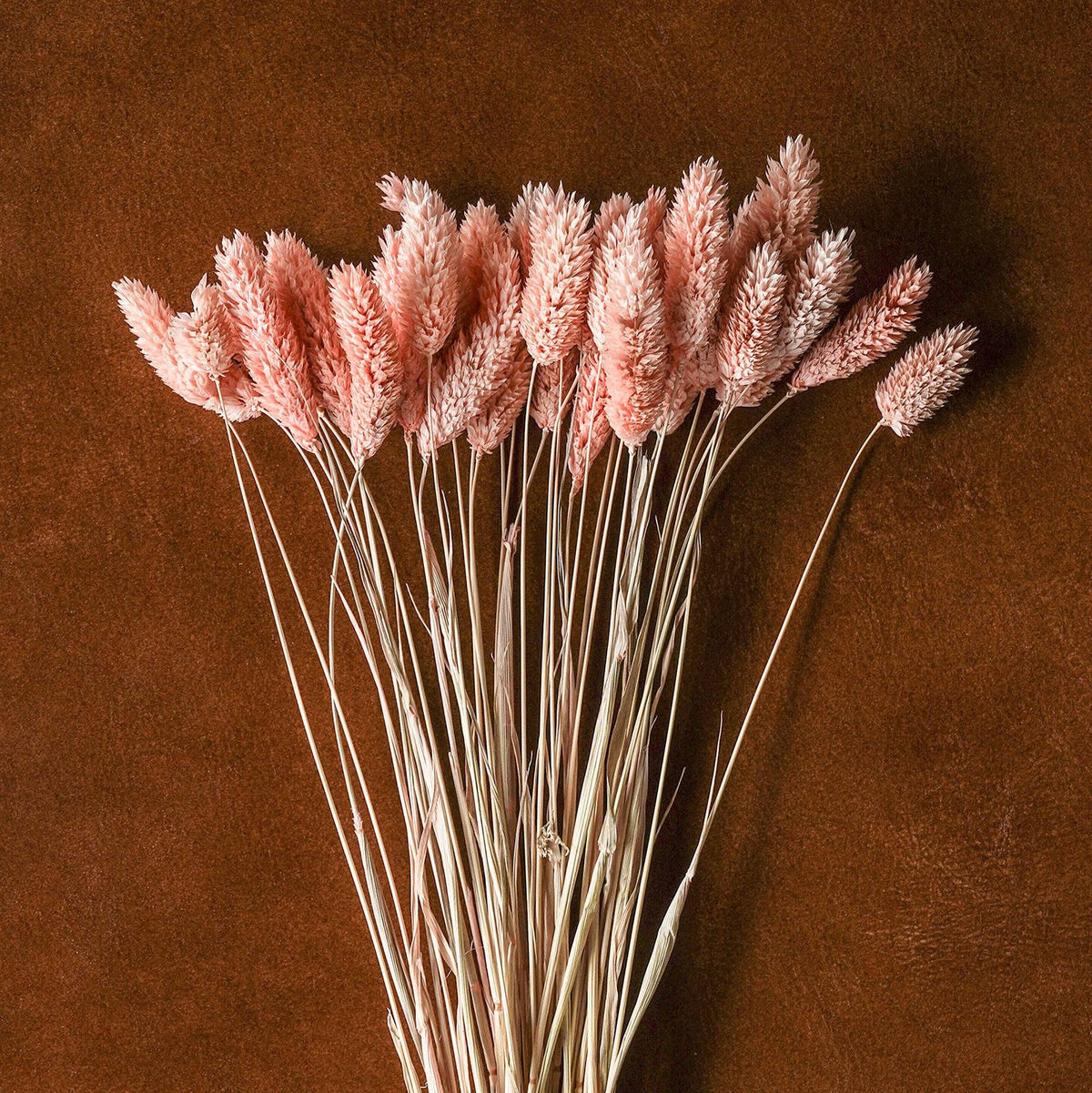 Dried flowers Blush,  20"