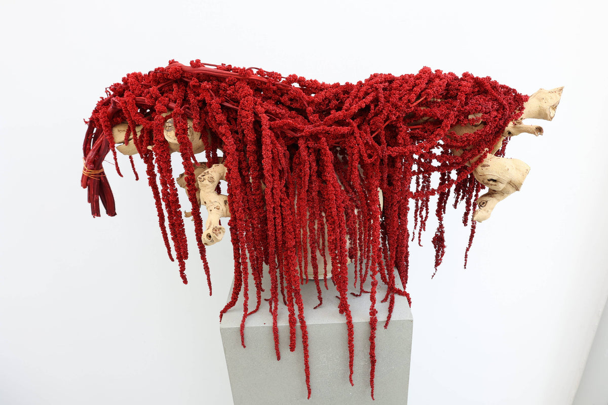 Red Amaranthus Hanging Preserved