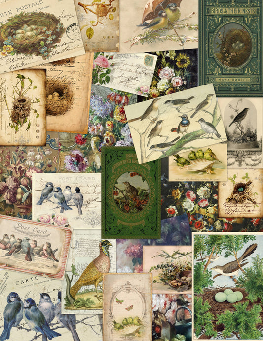 Assorted 11" x 17"   50 Piece Birds, Nests & Florals