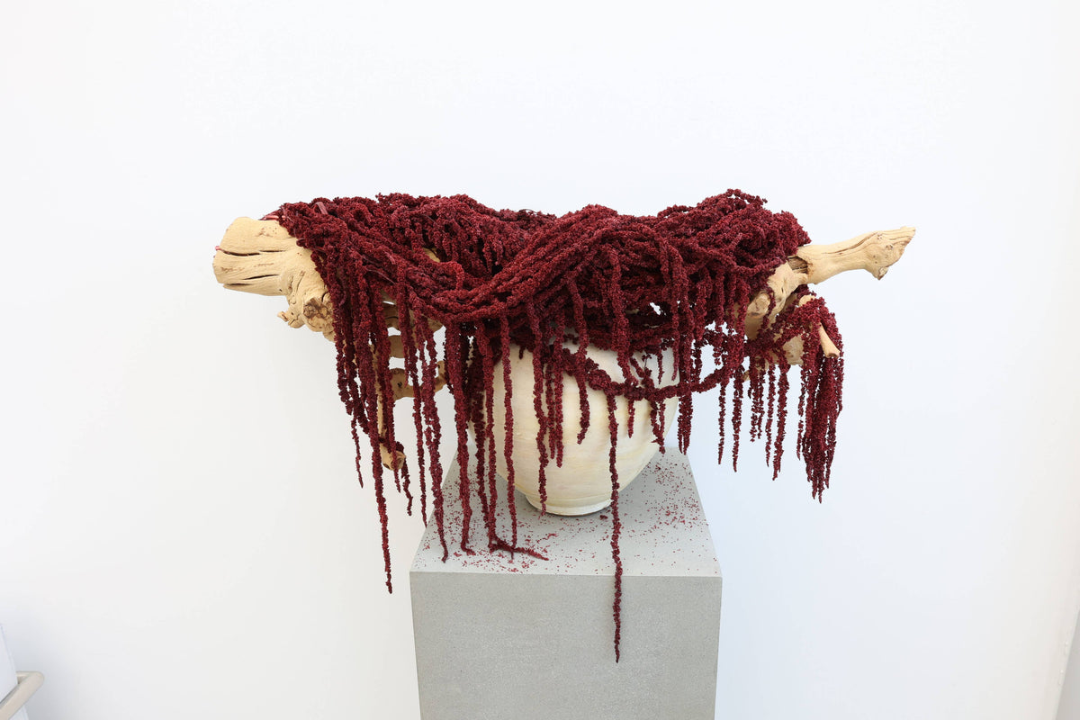 Preserved Deep Red Hanging Amaranthus