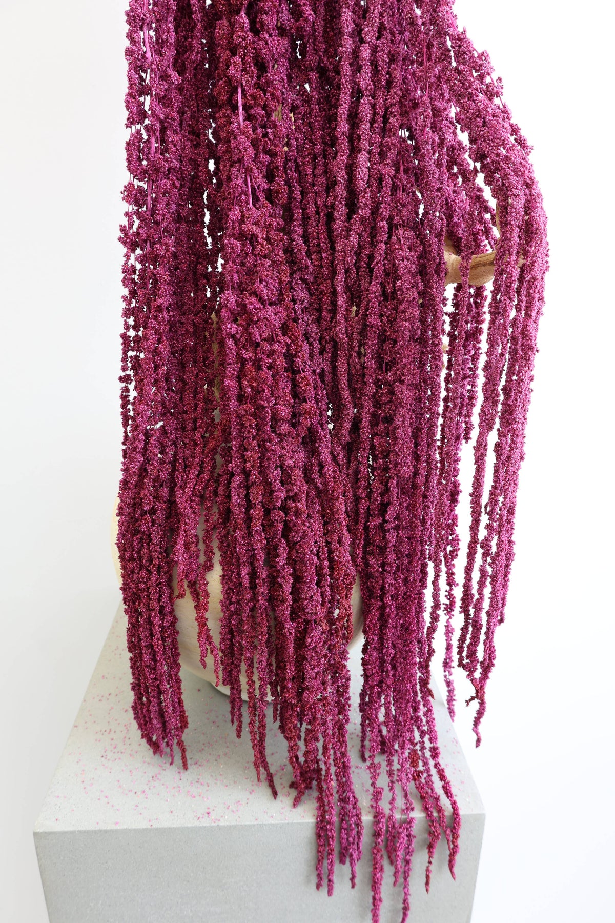 Preserved Amaranthus