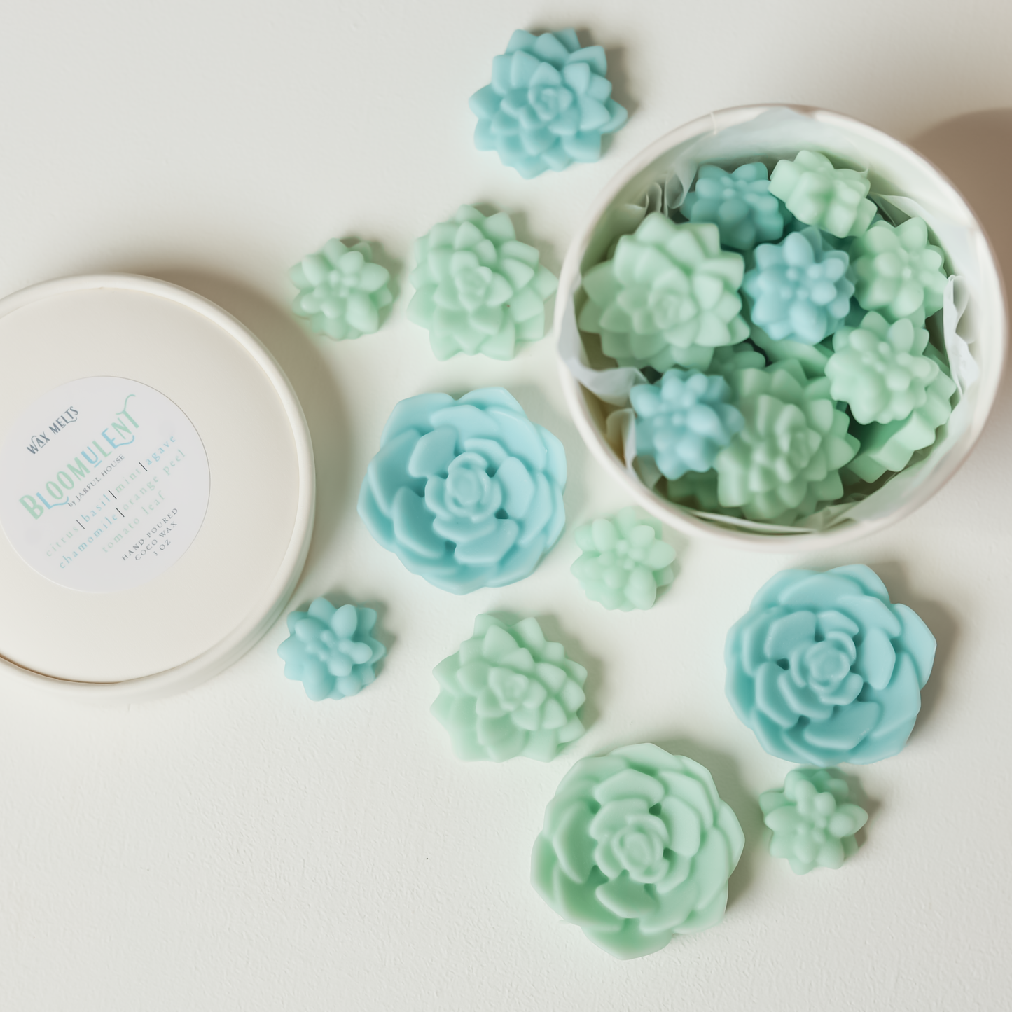 Spring Wax Melts Bloomulent, Green Blue Succulents